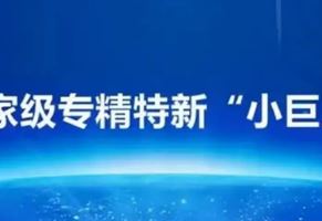 我司榮獲國家級專精特新“小巨人”企業(yè)榮譽(yù)